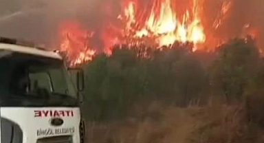 Bingöl'den Hatay'a Destek