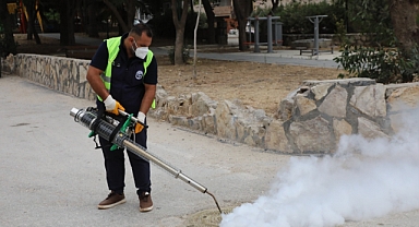 Defne’de Haşereyle Mücadele Ediyor
