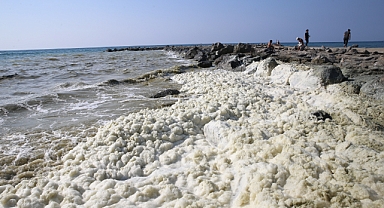 Deniz Kıyısında Köpük Benzeri Tabaka Oluştu