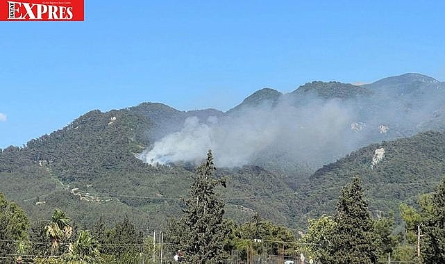 Dörtyol Alev Alev: Ormanda Başlayan Yangın Hızla Yayılıyor!