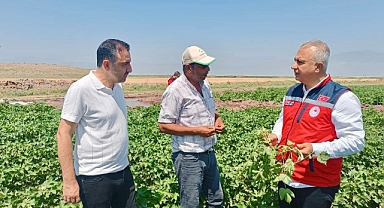 Hatay’da TAKE Projesi Kapsamında Ekilen Pamuklar Yerinde İncelendi