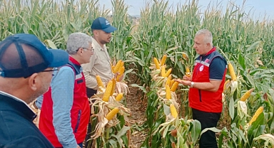 Hatay’da Tarımsal Üretime Katkı Sağlayacak Mısır Tohumu Tanıtımı