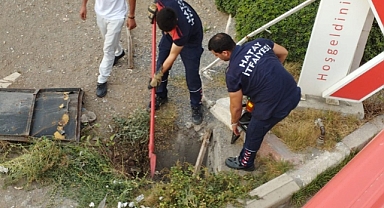 HBB Ekipleri 3 Canı Hayata Döndürdü