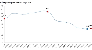 Hizmet Üretici Fiyat Endeksi Mayıs Ayında Yıllık Bazda Yüzde 38,16 Arttı