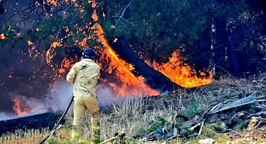 İklim Krizi Ormanları Yakıyor