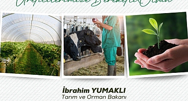 İlk 6 Ayda 7,3 Milyar TL Hasar Tazminatı Ödendi