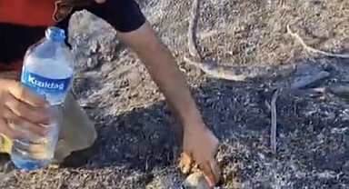 İtfaiyeciden, Kaplumbağaya Can Suyu