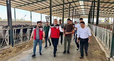 İthal Besilik Hayvanlara Sıkı Takip