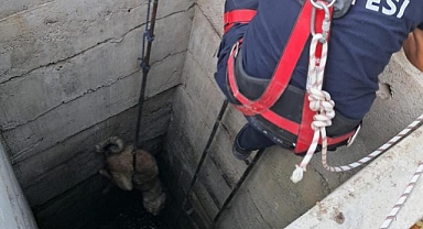 Kuyuya Düşen Köpeği İtfaiye Kurtardı
