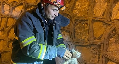 Mahsur Kalan Yavru Kediyi İtfaiye Kurtardı