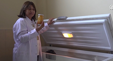 Maydanoz Balının Bilinirliği Coğrafi İşaretle Artırılması Hedefleniyor