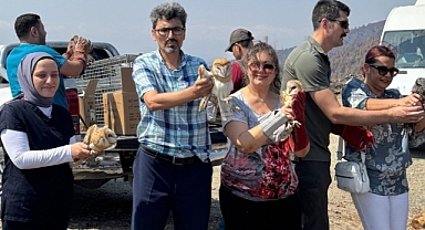 MKÜ’DE TEDAVİLERİ TAMAMLANAN 13 YABANİ KUŞ DOĞAYA SALINDI