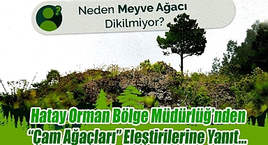 Neden Meyve Ağaçları Dikilmiyor