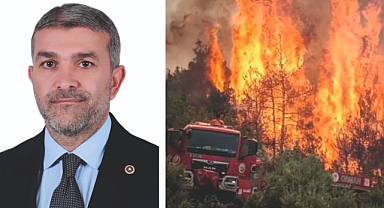 Onlar Doğayı Korurken Can Verdiler