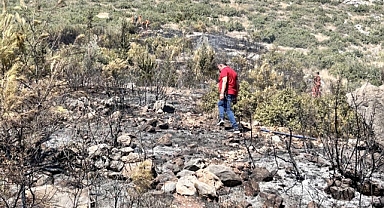 Orman Yangını Havadan Ve Karadan Müdahaleyle Kısa Sürede Kontrol Altına Alındı