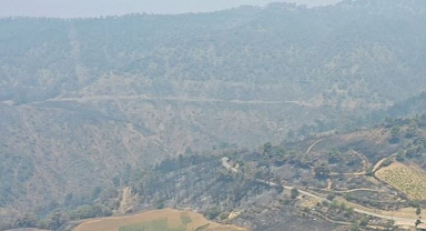 Orman yangınına müdahale 2. gününde sürüyor