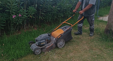 Samandağ’da Yeşil Dönüşüm Hız Kesmeden Devam Ediyor