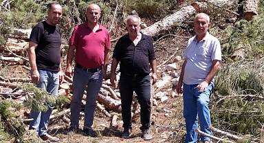 Sesimize Kulak Veriniz