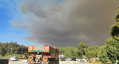 Suriye’deki Orman Yangını Türkiye Sınırına Ulaştı