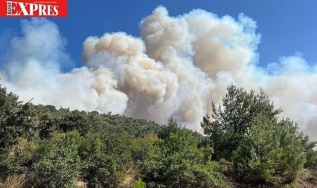 SURİYEDE BAŞLAYAN YANGIN SAMANDAĞ'INA VE YAYLADAĞINA GELMEYE BAŞLADI!