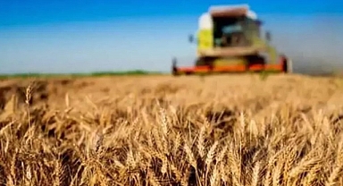 Tarım Ürünleri Üretici Fiyat Endeksi Haziran'da Yıllık Yüzde 50,31 Arttı