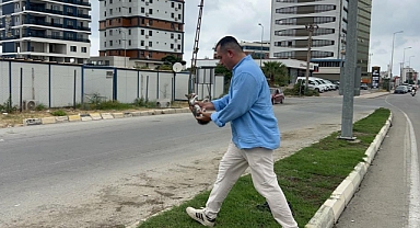 Trafikte Çaresizce Bekleyen Yavru Kediyi Kurtardı