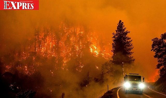 YANGIN DEĞİL FELAKET! 5 ORMAN İŞÇİSİ 5 AKUT GÖNÜLLÜSÜ ŞEHİT...