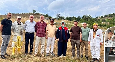 Yığılca Arısı İçin Suni Tohumlama