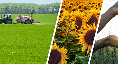 116 Milyon Liralık Tarımsal Destek Ödemesi Çiftçilerin Hesaplarında