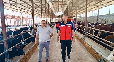 400 Büyükbaş Kapasiteli İşletmede İnceleme