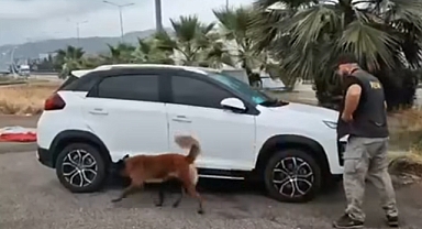 73 İlde Uyuşturucu Operasyonu