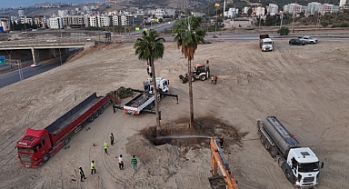 Ağaçlara Yeni Yaşam Alanı