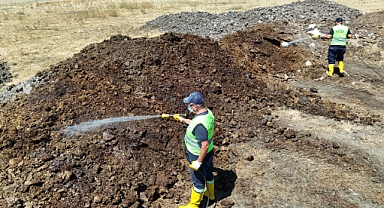 Akdeniz Meyve Sineğiyle Mücadele Sürüyor