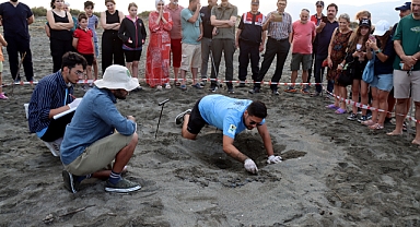 Deniz Kaplumbağalarının Yuva Sayısı Artıyor