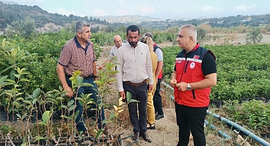 Fidan Üretimi Yerinde İncelendi