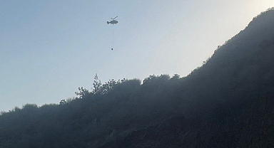 Hassa’da Orman Yangını Kontrol Altına Alındı