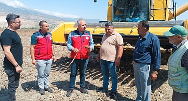 Hatay’da Ayçiçek Hasadı