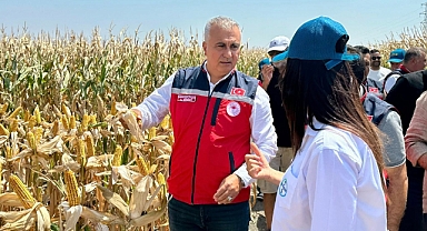 Hatay’da Islah Edilmiş Mısır Tohumları Tanıtıldı