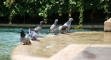 Hatay'da sıcak hava ve yüksek nem etkisini sürdürdü