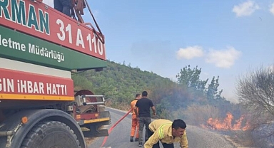 Hatay Yayladağı'nda çıkan orman yangını kontrol altına alındı