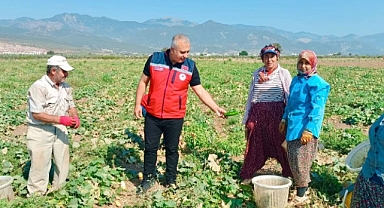 İl Müdürü Türkmen, Tarlada Üreticilerle Buluştu