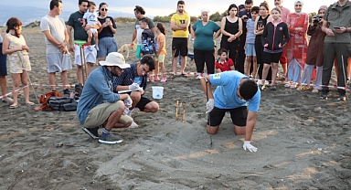 Kaplumbağa Yavruları Denizle Buluştu