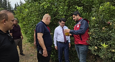 Kaymakam Eroğlu, Arsuz’da Organik Tarım Bahçesini Ziyaret Etti