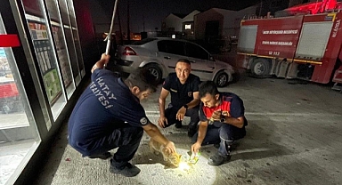 Mahsur Kalan Kediyi İtfaiye Ekipleri Kurtardı