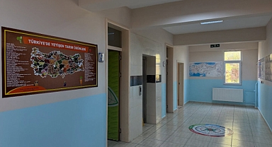 Öğrenme Her Yerde ve Her An Mümkündür