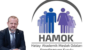 Olaylar, Vatandaşların Etnik Kimliğine Mal Edilemez