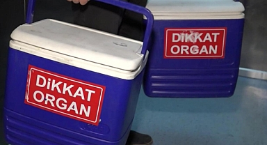 ORGAN BAĞIŞI E-DEVLET VE E-NABIZ'DAN YAPILABİLECEK