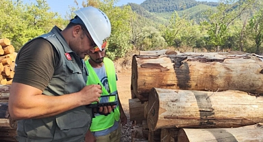 Ormanlarda Şeffaf Üretim Başladı