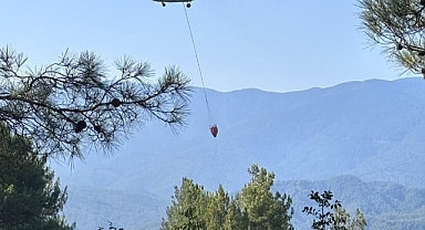 Ormanlık Alanda Çıkan Yangın Söndürüldü