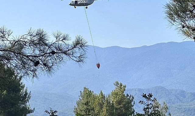 Ormanlık Alanda Çıkan Yangın Söndürüldü